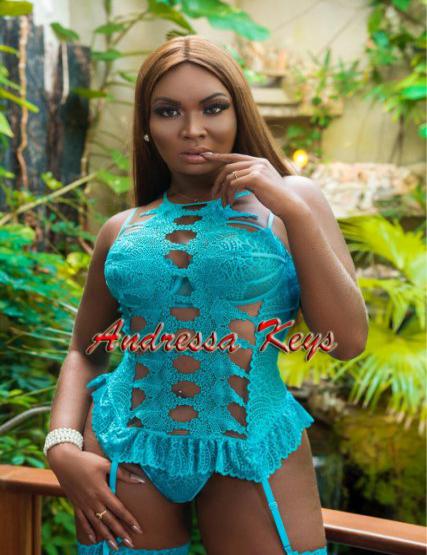 Trans Acompanhante  Andressa Key6952005