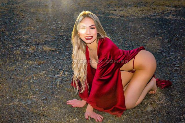 Trans Acompanhante  Gaby Abelha 3208046