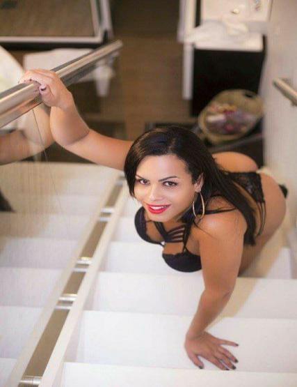 Shemale Escort  Nicole Brito 4120492