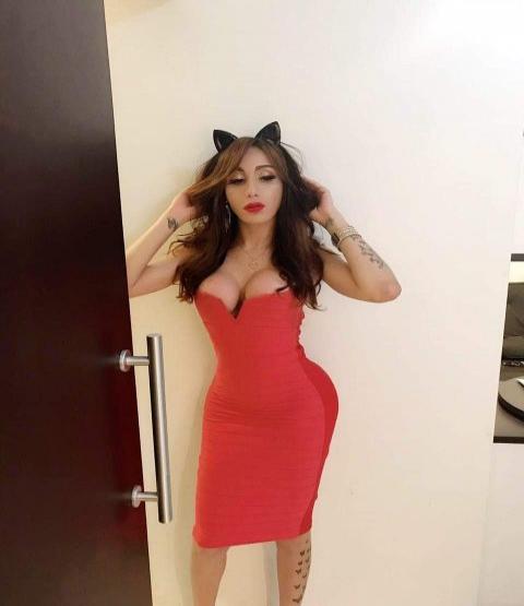 Trans Acompanhante  Renata 4409917