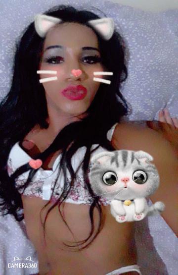 Trans Acompanhante  Thabata Rayana 5597730