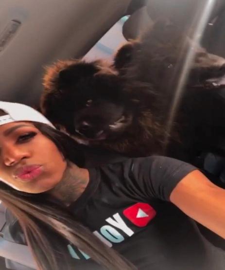 Trans Acompanhante  Tran23cm Sabrina L 7595486