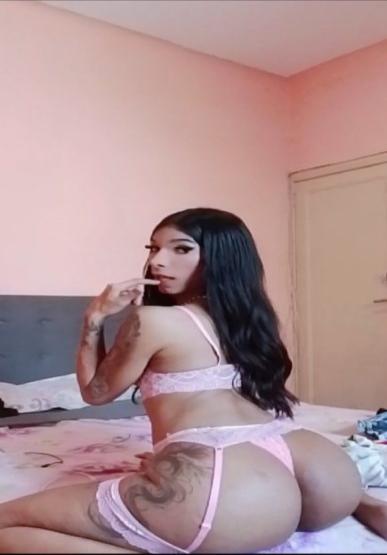Shemale Escort v Alana Rayra 3478110