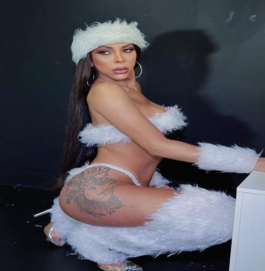 Trans Acompanhante v Allana Estevao 2659037