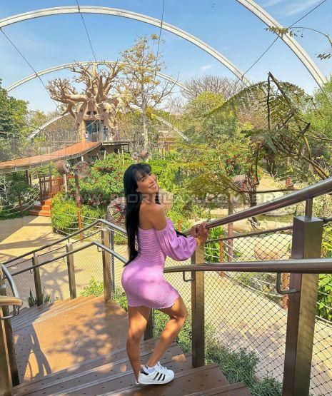 Trans Acompanhante v Perola Martinez 8914016